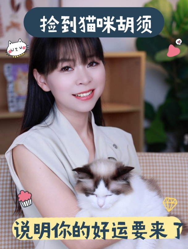 捡到猫咪胡须,说明你好运来了