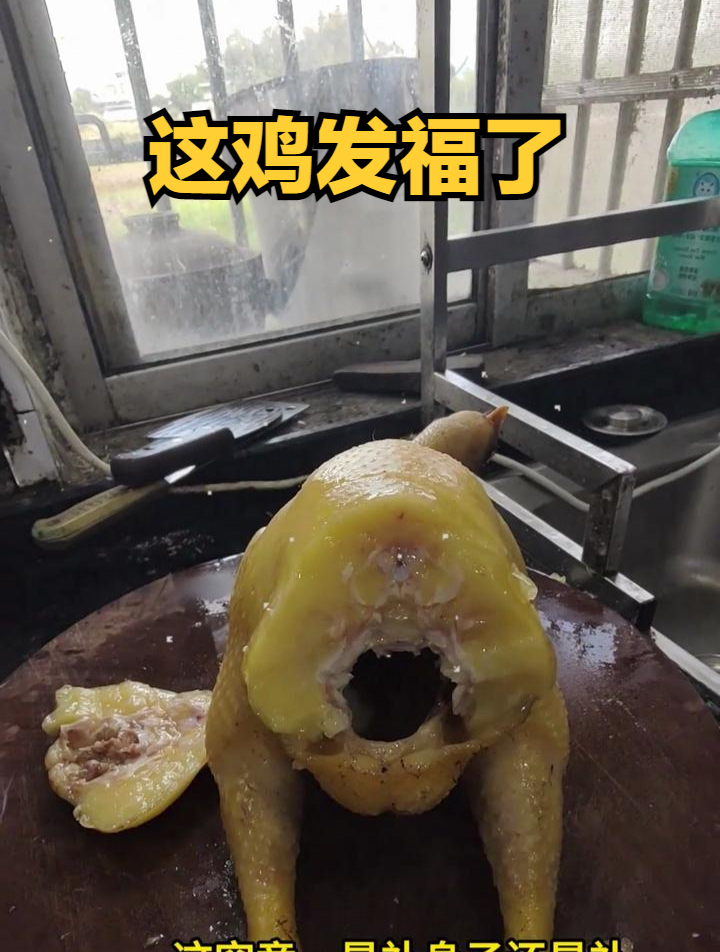 这可是正宗的广东黄油鸡啊,记录农村美食!