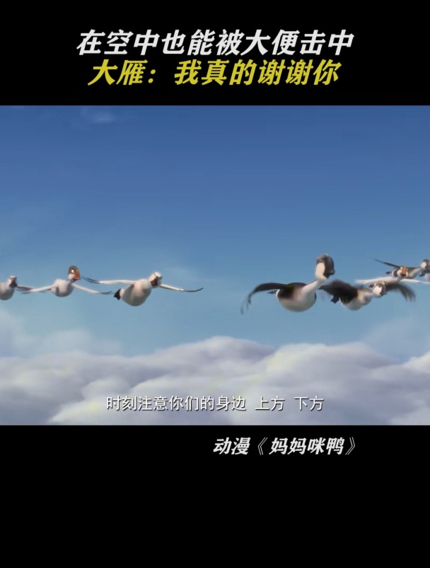 妈妈咪鸭:被大便击中