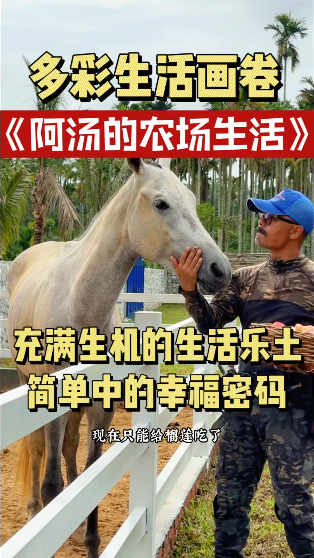 我花了三年的延时满足你能理解吗