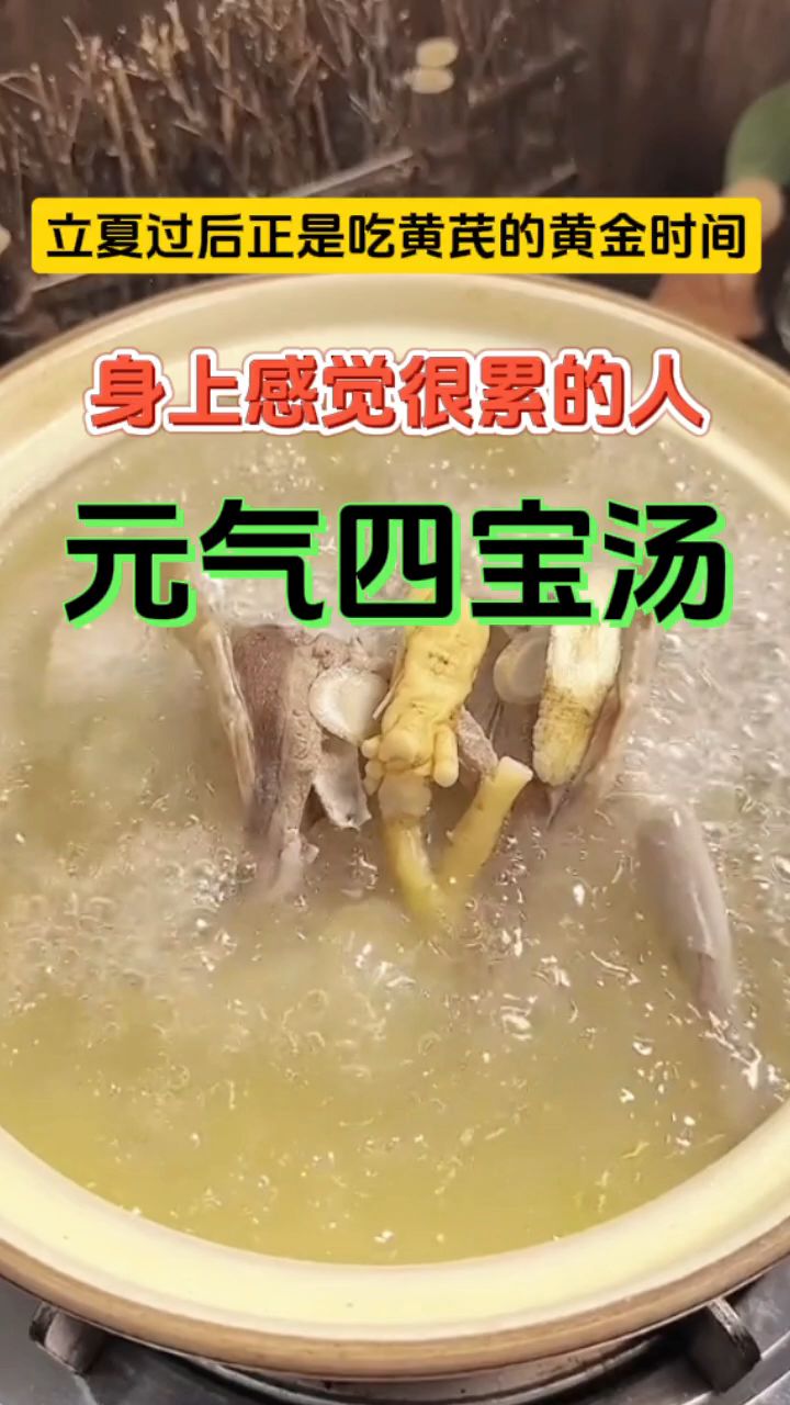 鸽子四宝汤:黄芪麦冬党参西洋参