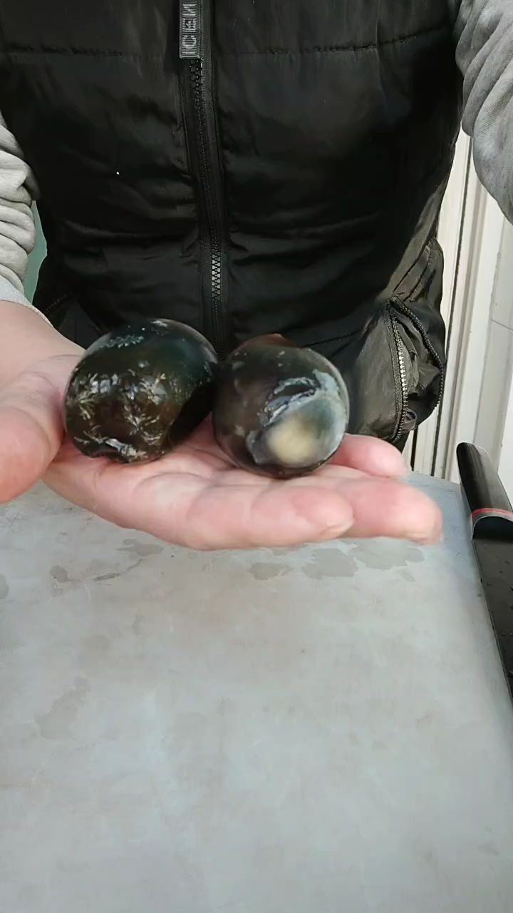 家里来客松花蛋不要直接吃了,像我这样做的小金鱼,全家人都喜欢