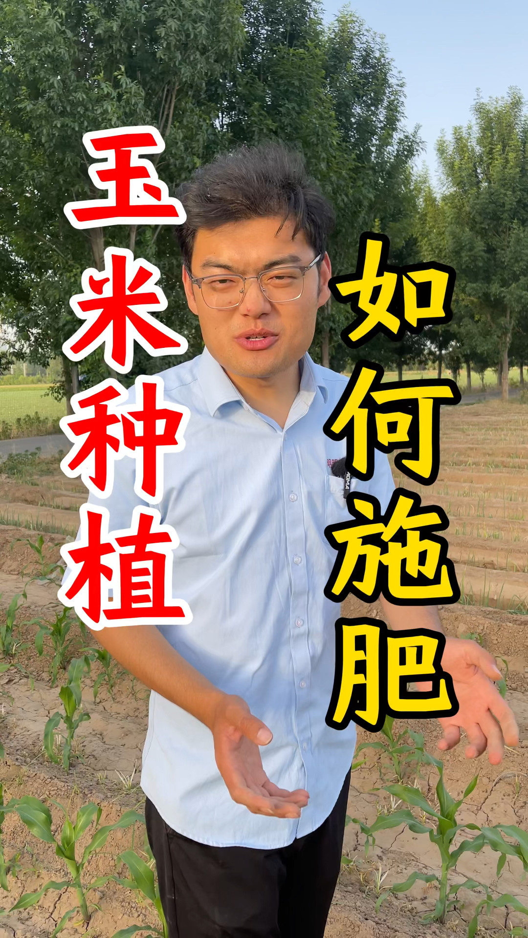 玉米种植 如何施肥