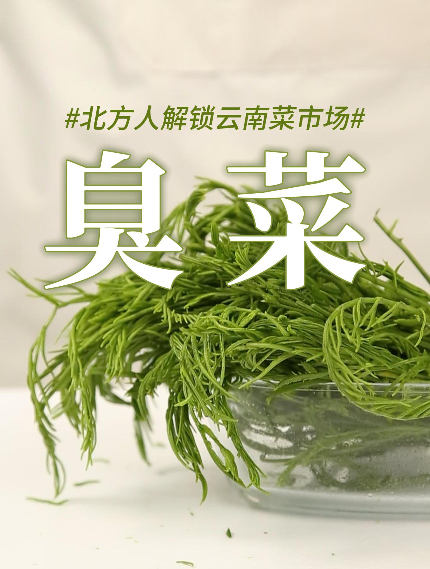 比鱼腥草还可怕的臭菜,云南人却爱不释手,它究竟有何魅力?