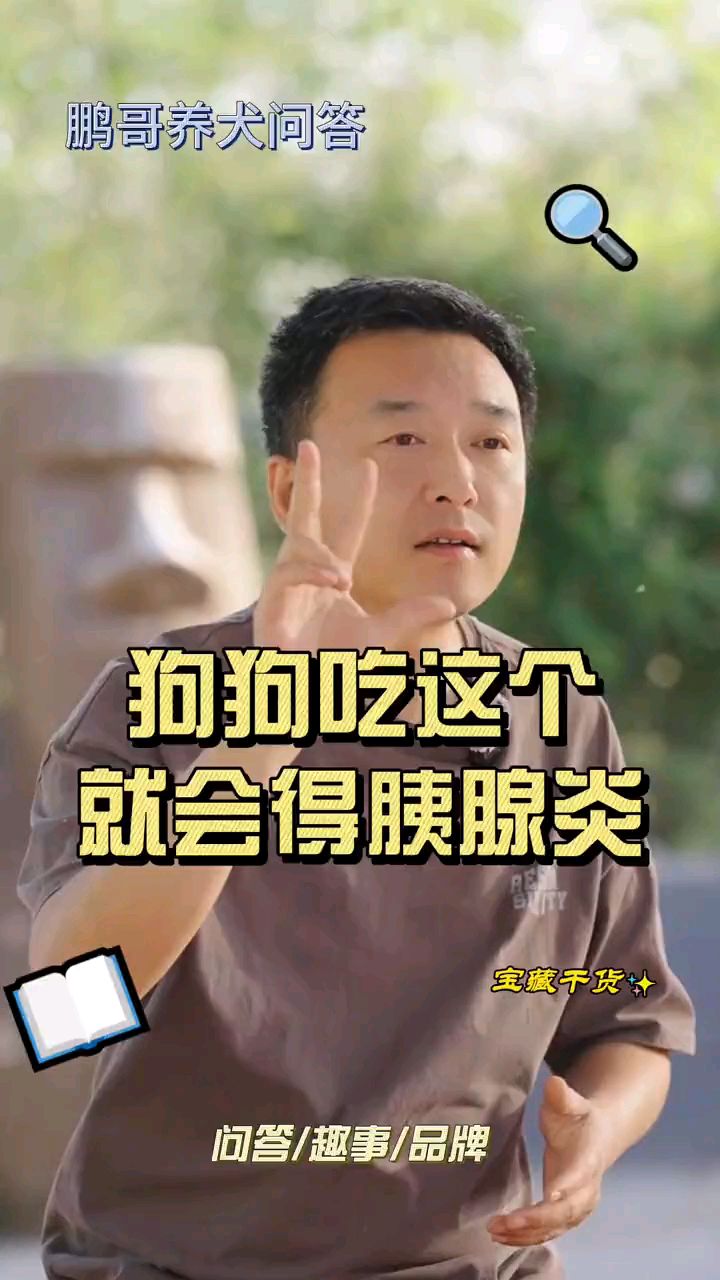狗狗吃水果,蔬菜,人的饭菜,就会得胰腺炎