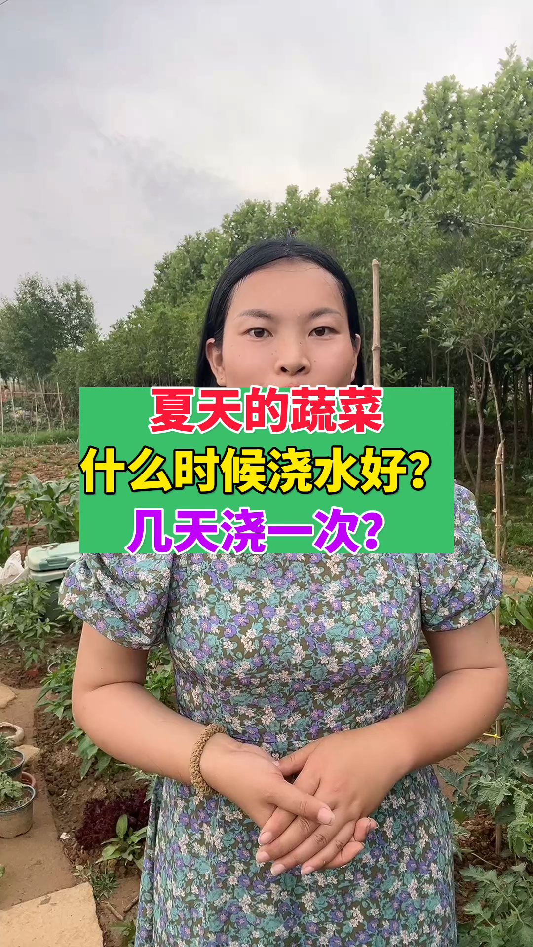 夏天蔬菜怎么浇水,几天浇一次