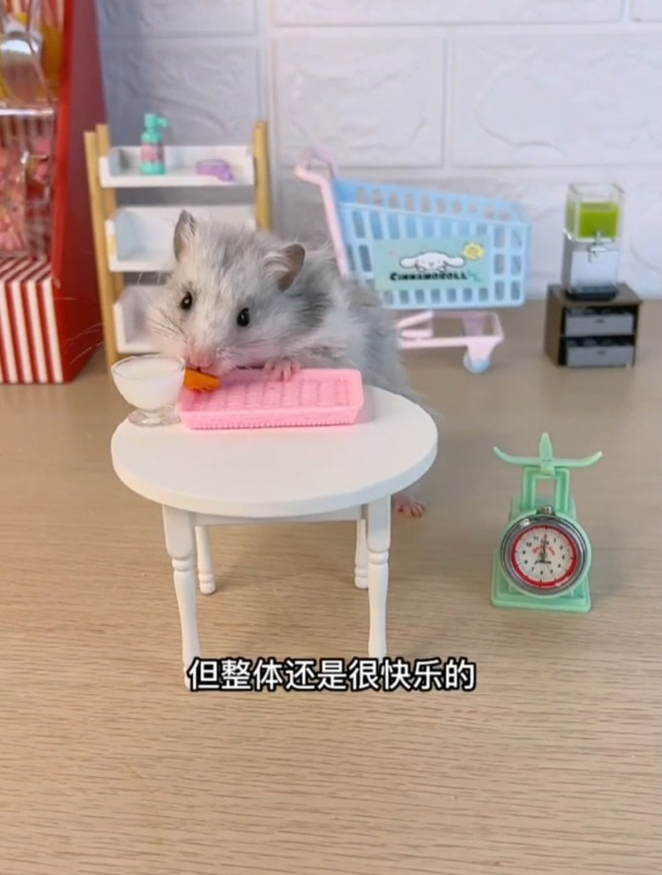 萌宠乐园:小仓鼠的迷你超市之旅