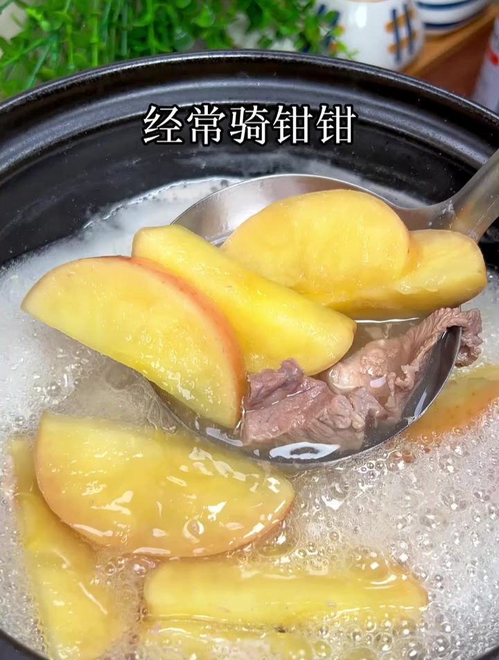 咸橄榄炖瘦肉煲汤