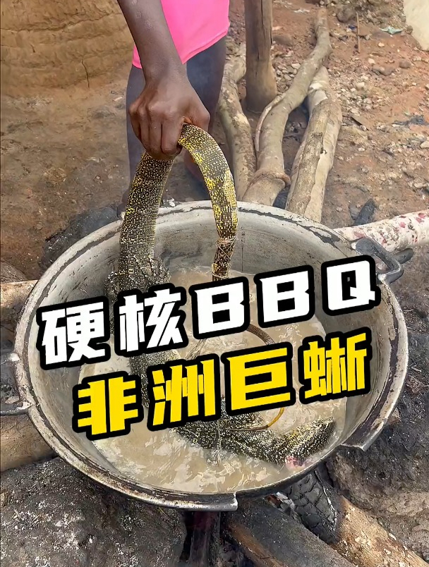非洲巨蜥居然是非洲人的烧烤食材!