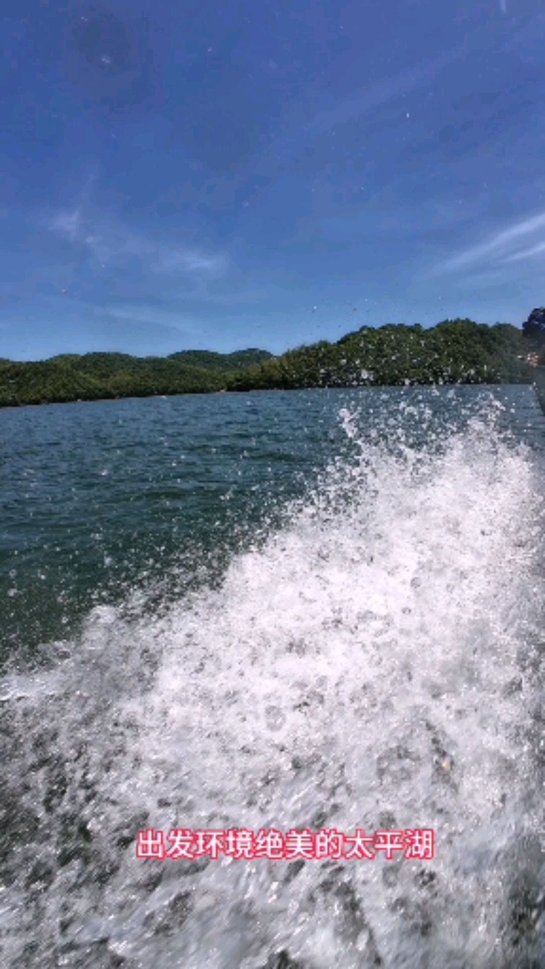 太平湖沉浸式钓鱼体验
