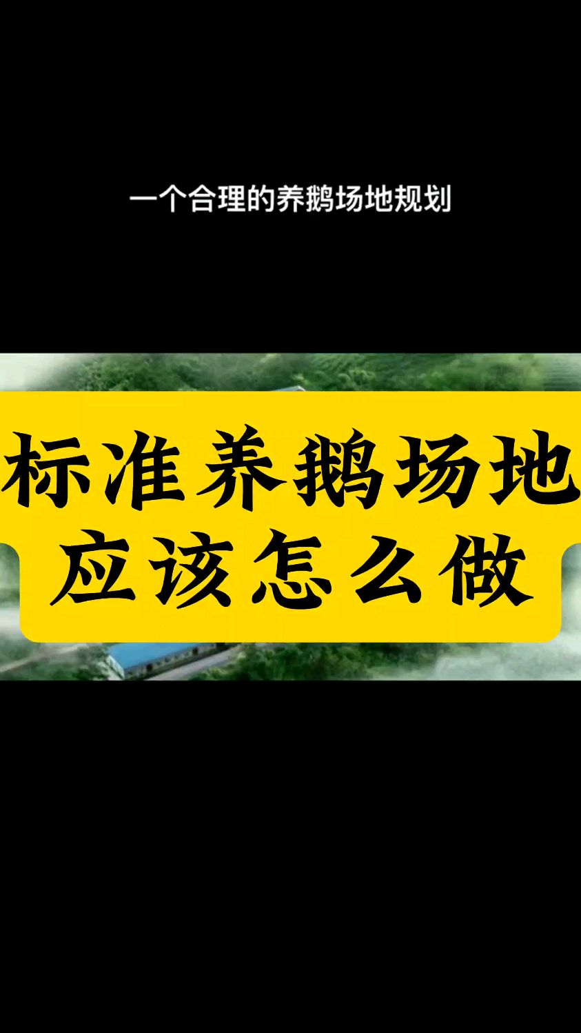 标准养鹅场地应该怎么做