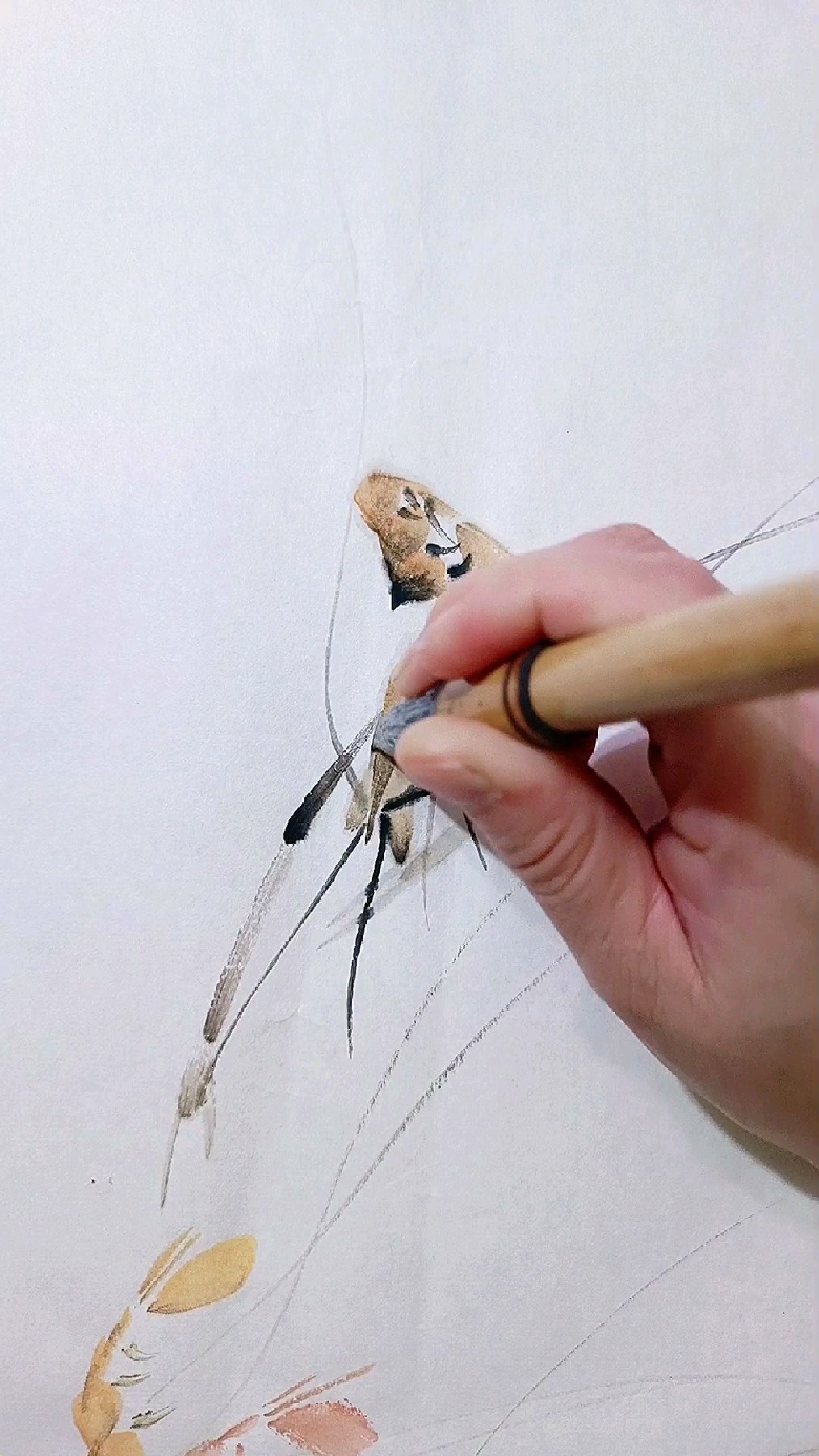 一支笔画虾来啦!画虾如此简单,你也画一画吧