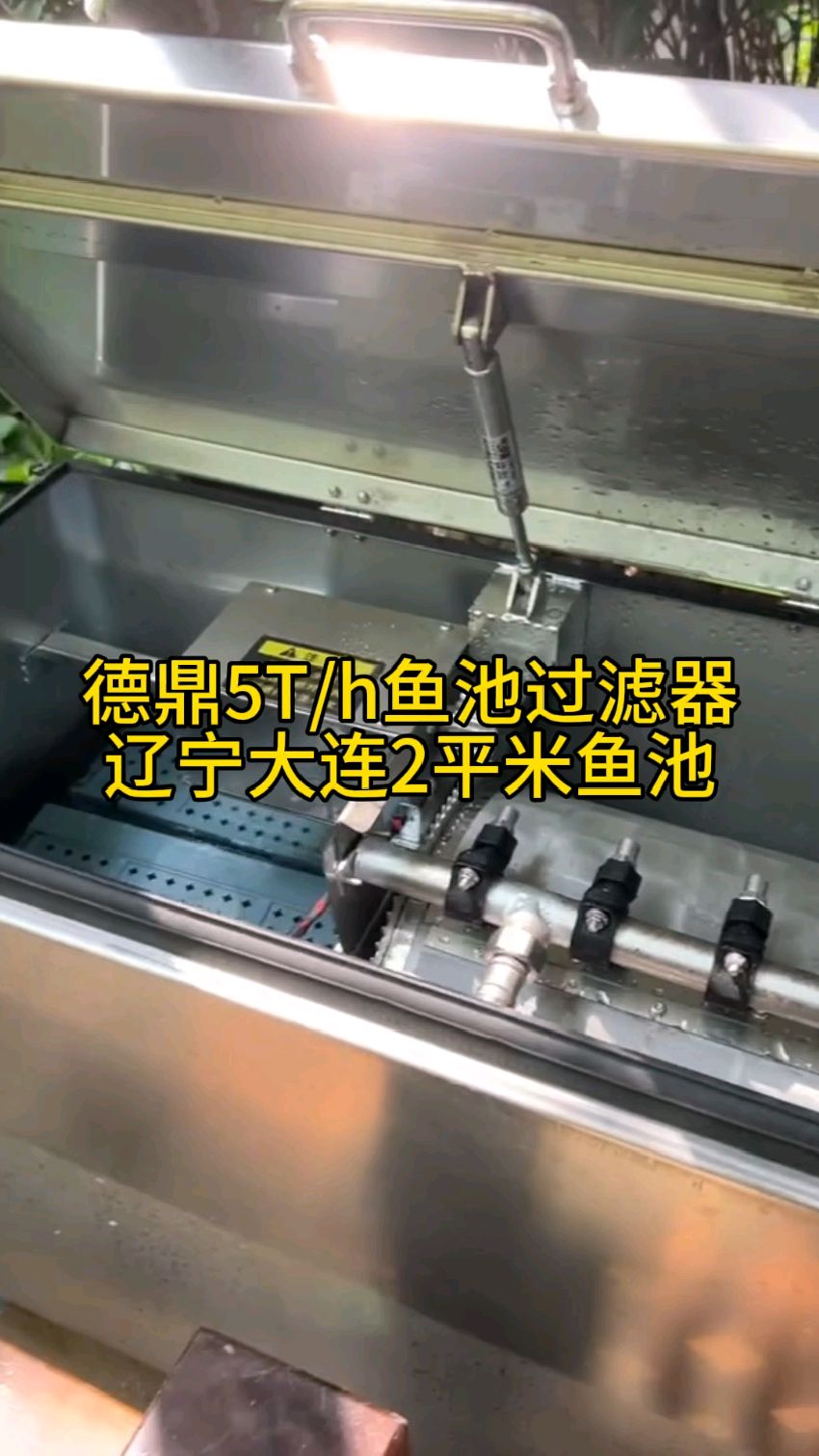 两个平米的小锦鲤鱼池,深度1.5米,位于辽宁大连。 池子虽然小