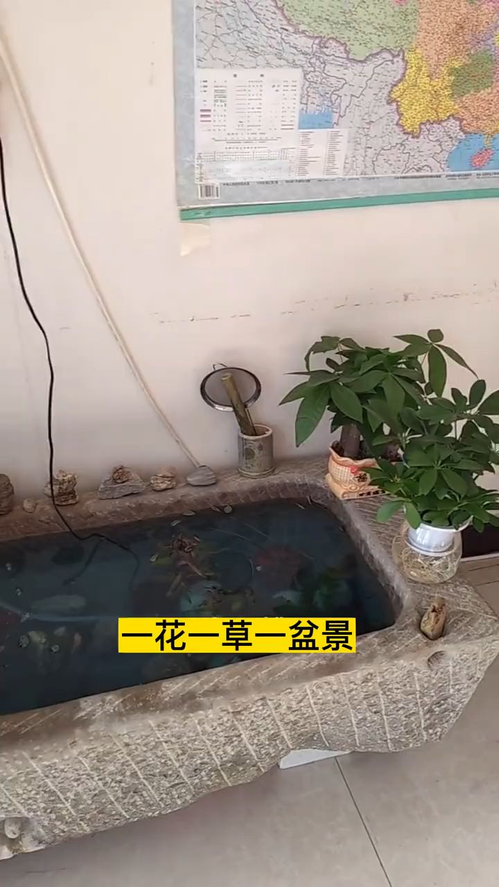 庭院流水摆件自制生态鱼缸养鱼种花神器