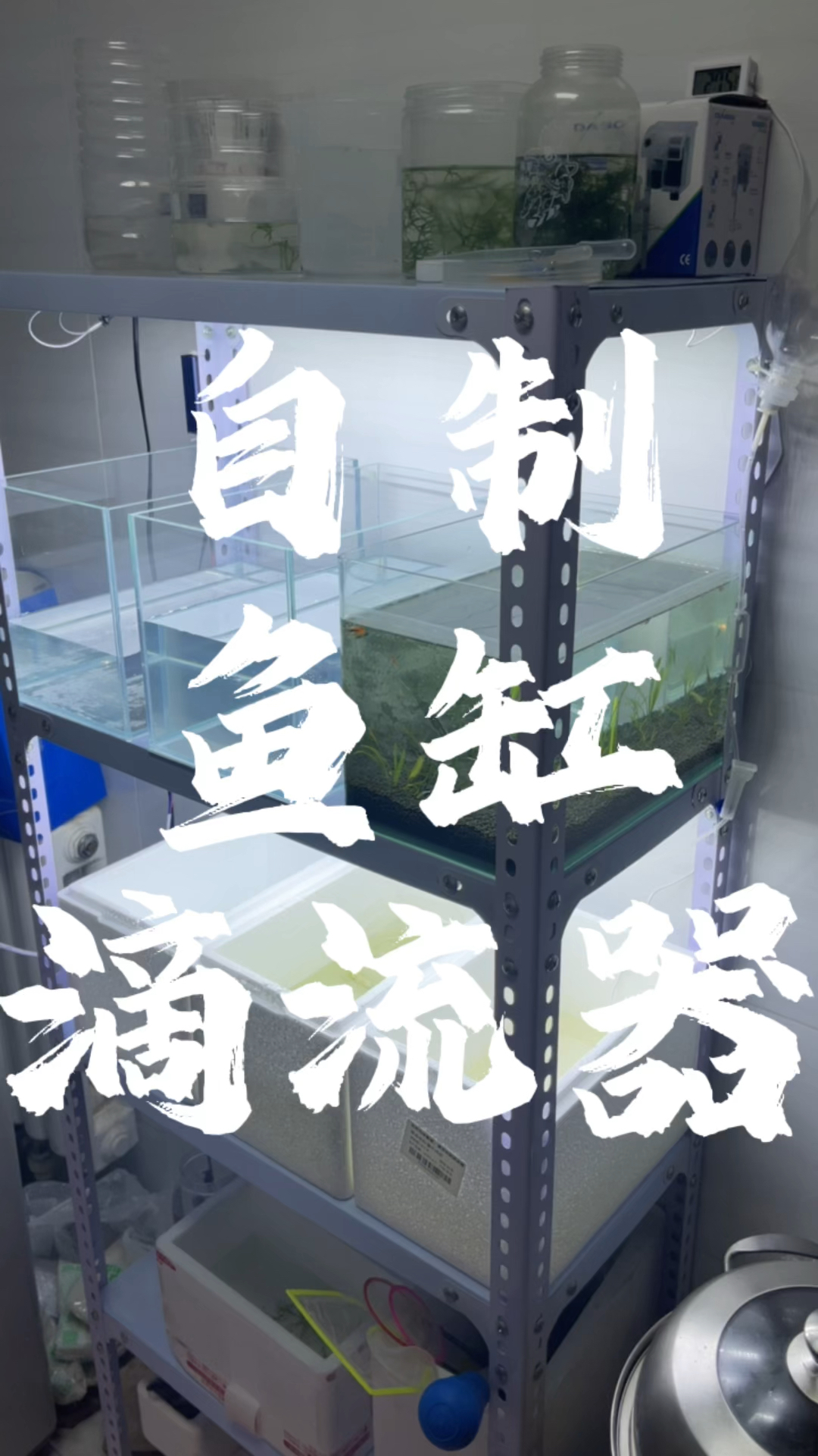 免费不要钱的滴流器来啦!教你自制鱼缸滴流器。