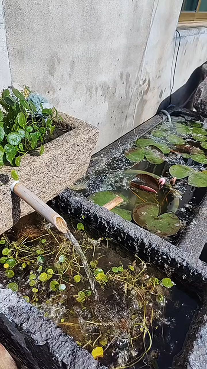 庭院流水摆件自制生态鱼缸养鱼种花神器