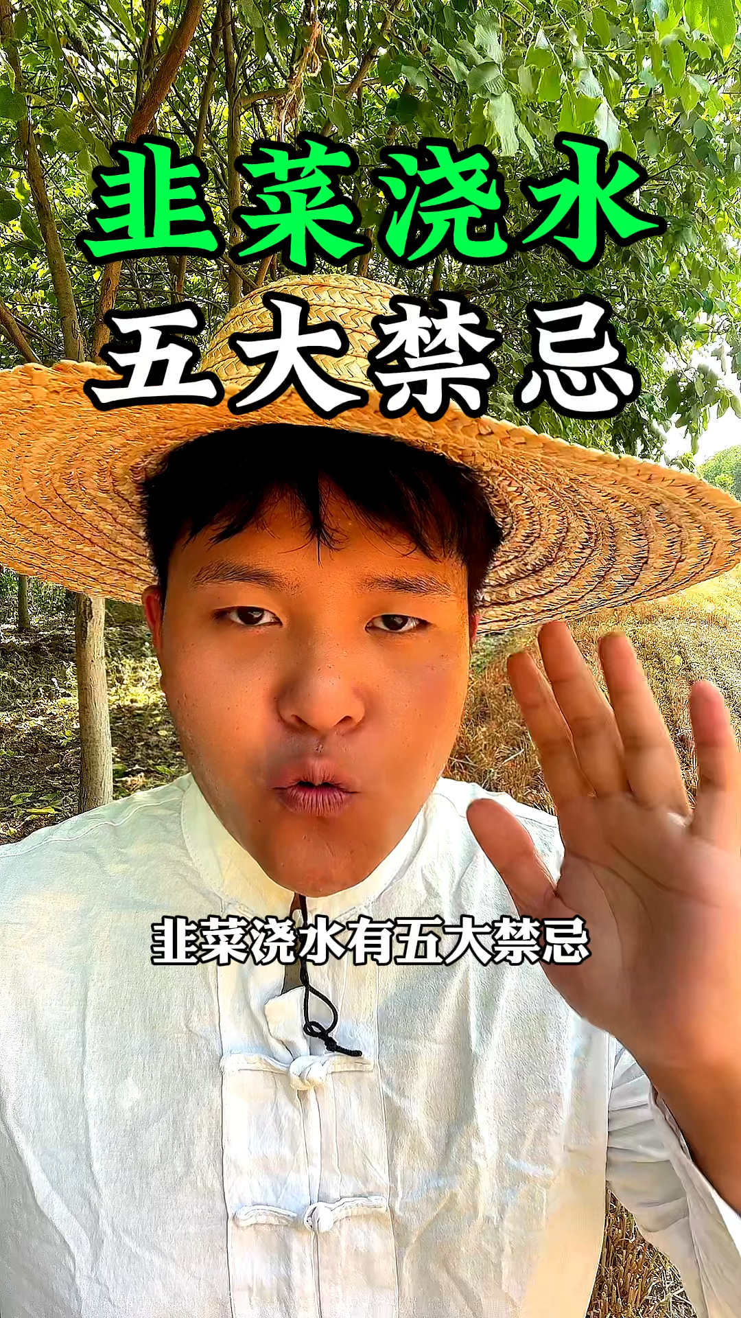 韭菜种植,浇水是一门学问,韭菜浇水禁忌