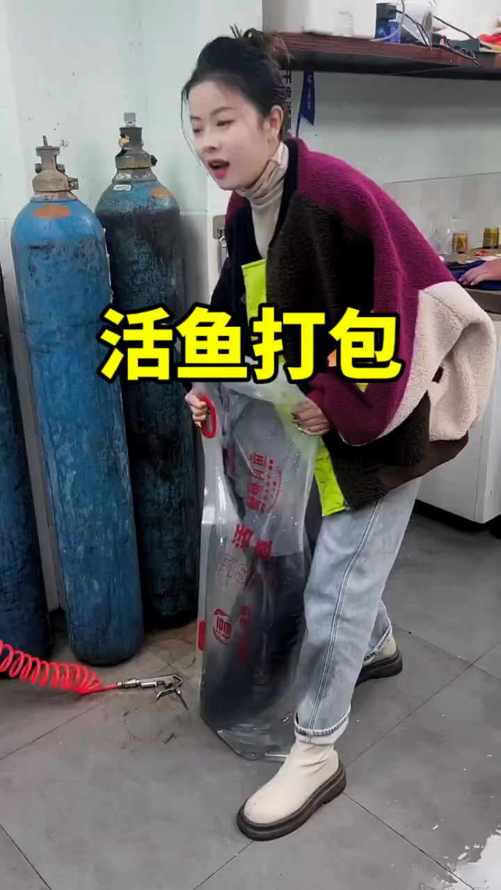 生鲜大活鱼打包运输。