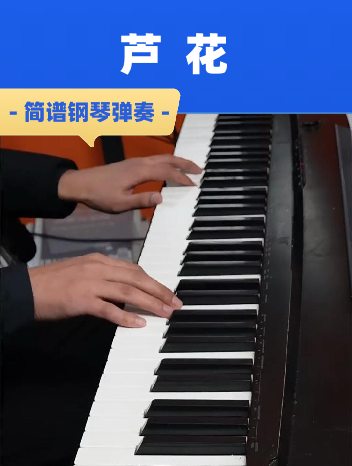《芦花》简谱钢琴弹奏,简单好听