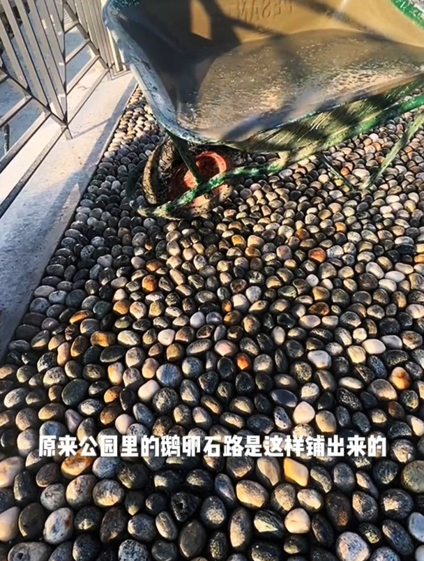 原来公园里的鹅卵石路是这样铺出来的!