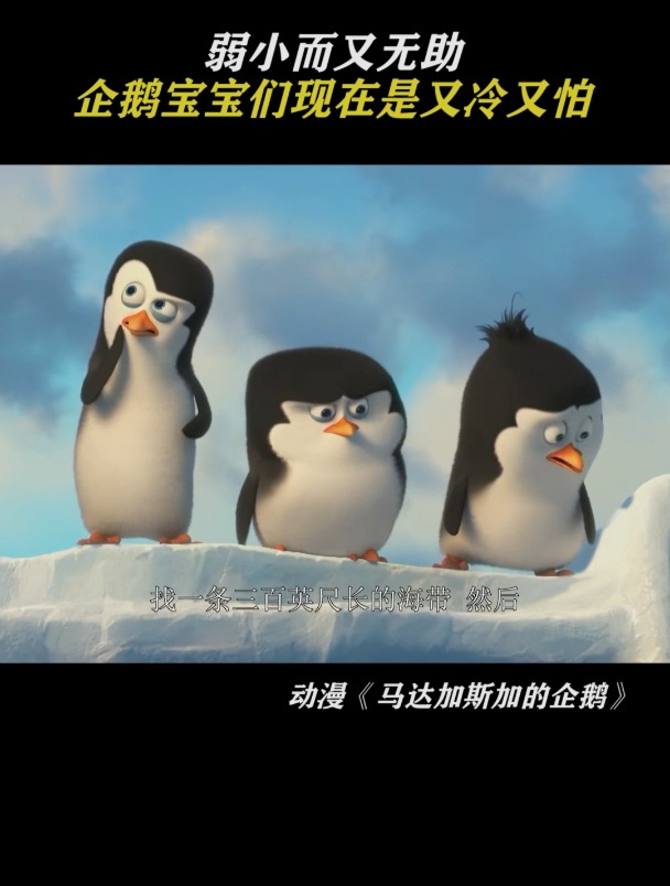 马达加斯加的企鹅:弱小而又无助
