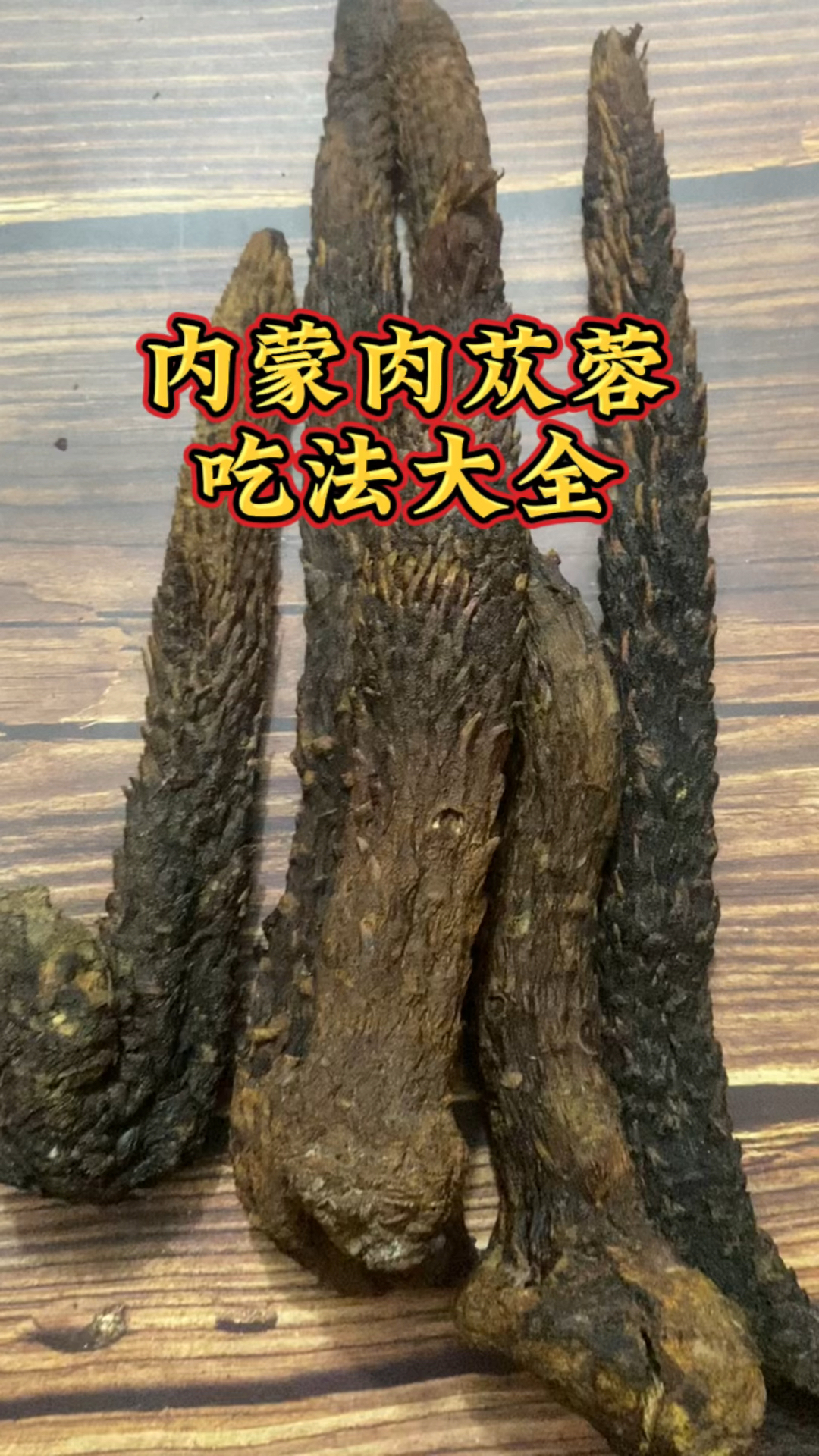 内蒙肉苁蓉吃法大全