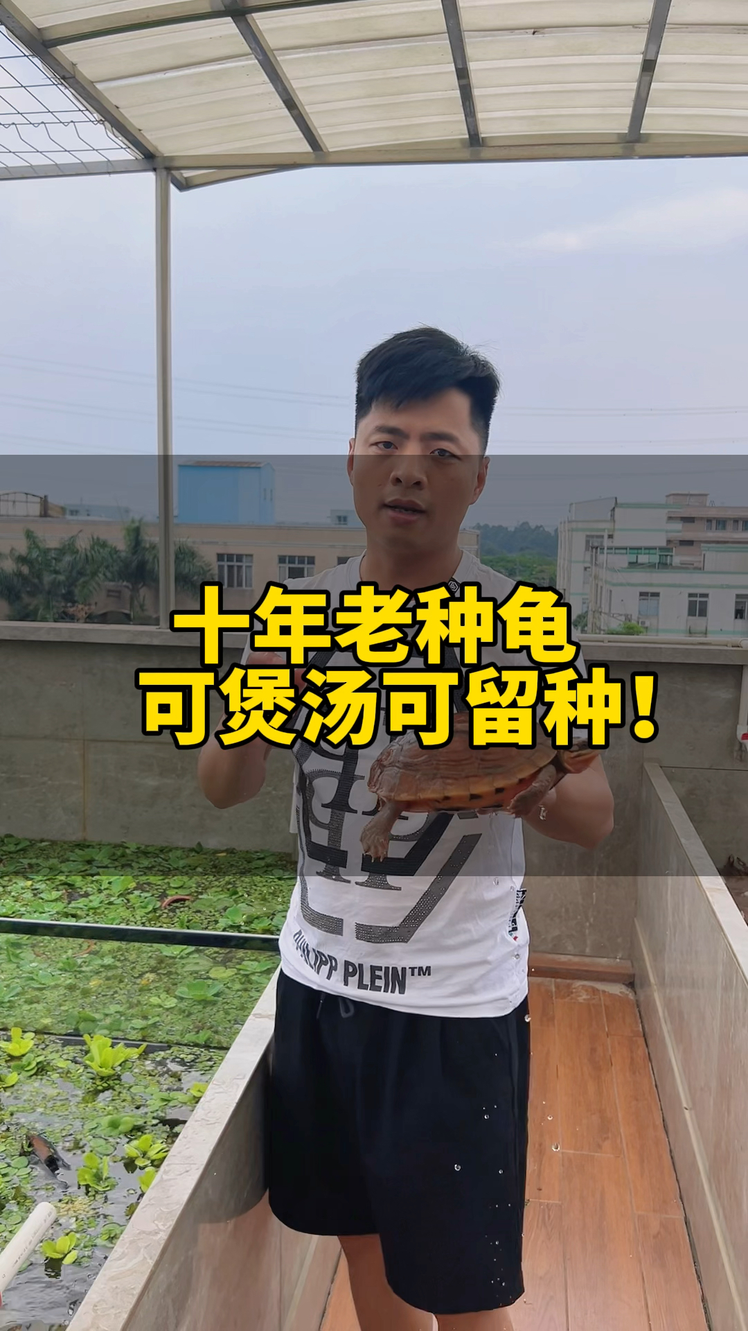 老火靓汤,十年老金钱龟煲汤够老够靓!