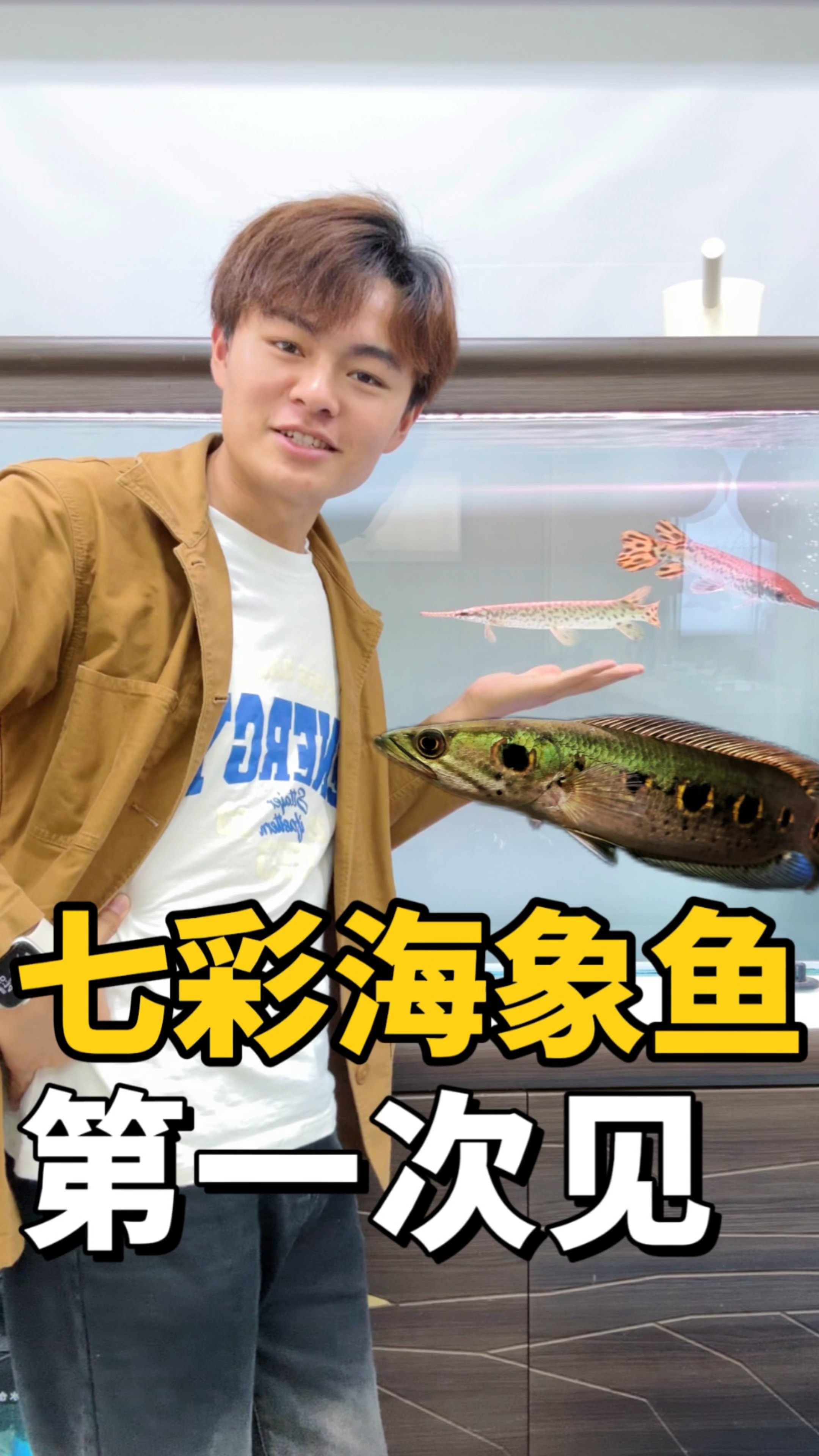 挑战养100种鱼之七彩海象鱼