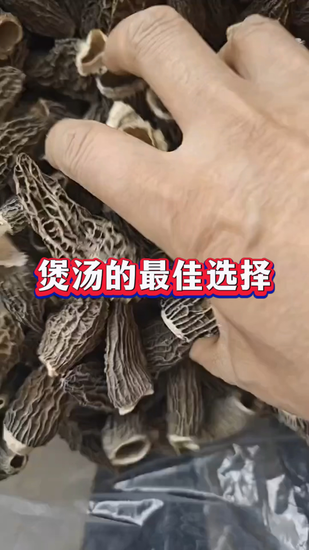 煲汤的最佳选择!