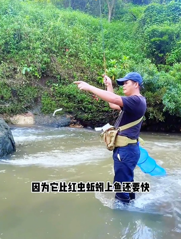 面筋饵专用溪流钓石斑鱼,但自己真的用对了吗?