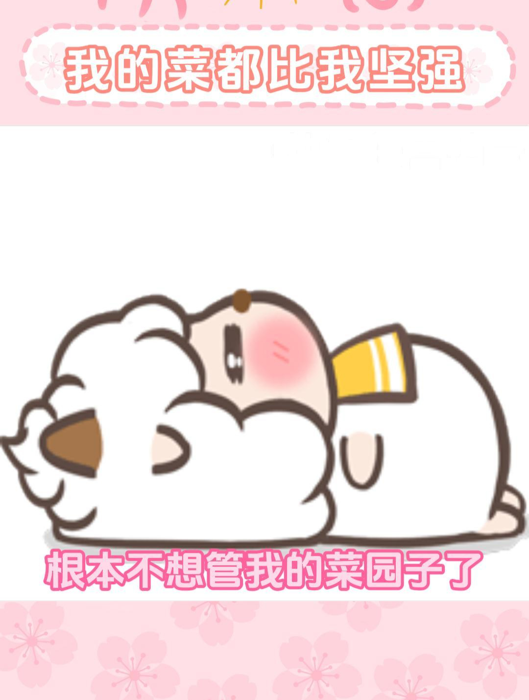 懒惰的我和坚强的菜