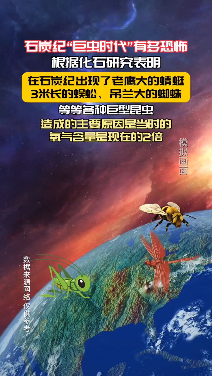 石炭纪“巨虫时代”有多夸张,老鹰大小的蜻蜓你见过吗