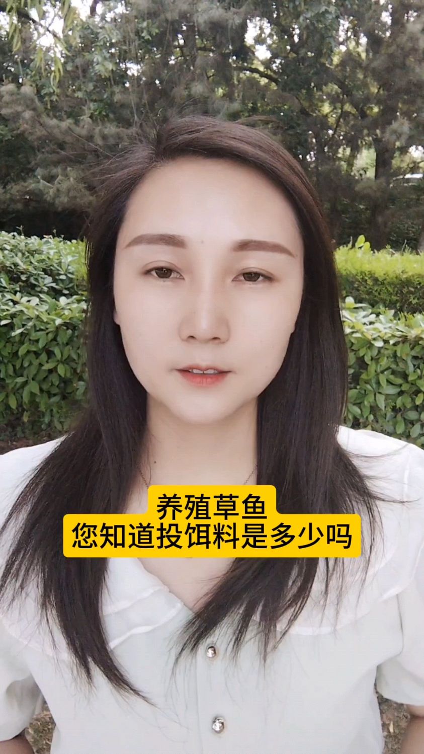 养殖草鱼您知道投饵料是多少吗