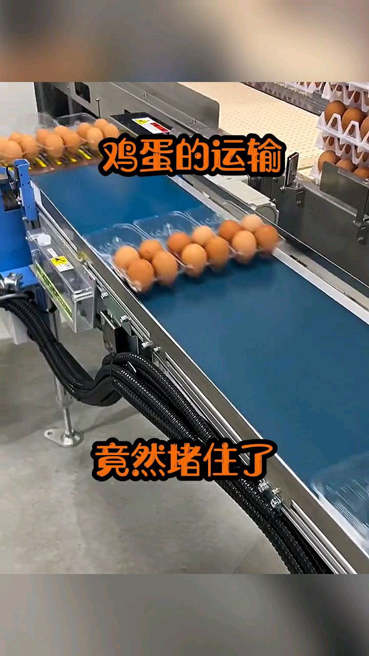 鸡蛋的运输竟然堵住了。