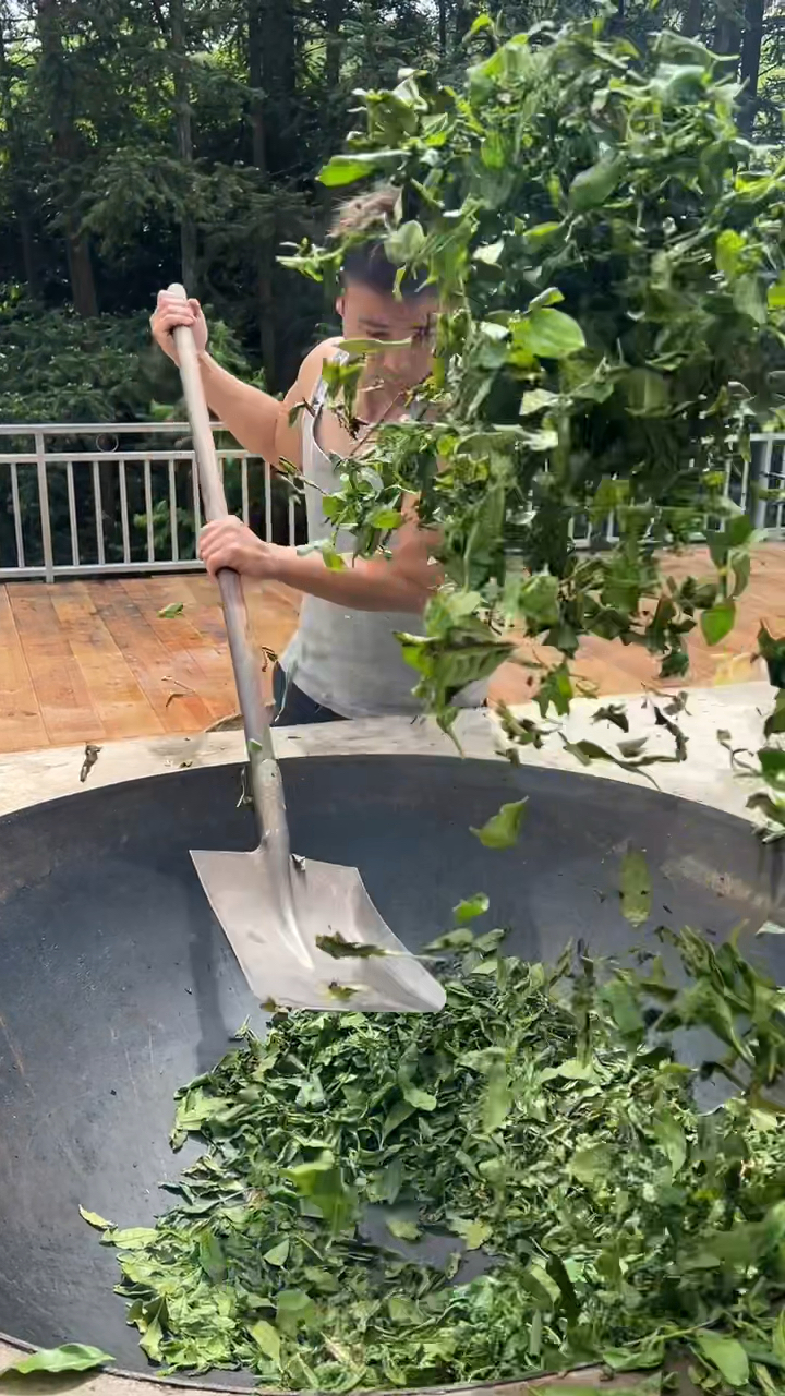 今天大家最爱的奶茶来一锅