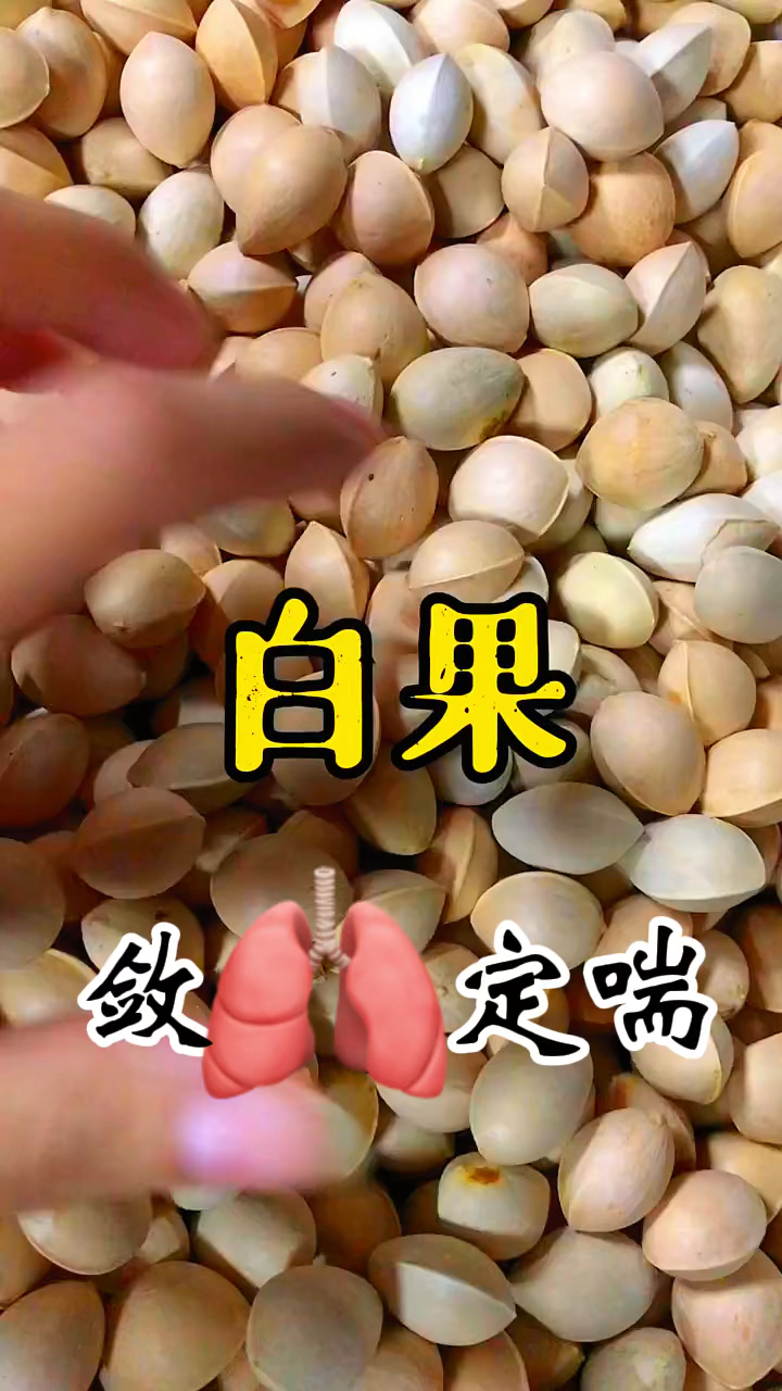 白果的作用你知道吗?它可以用来煲汤。