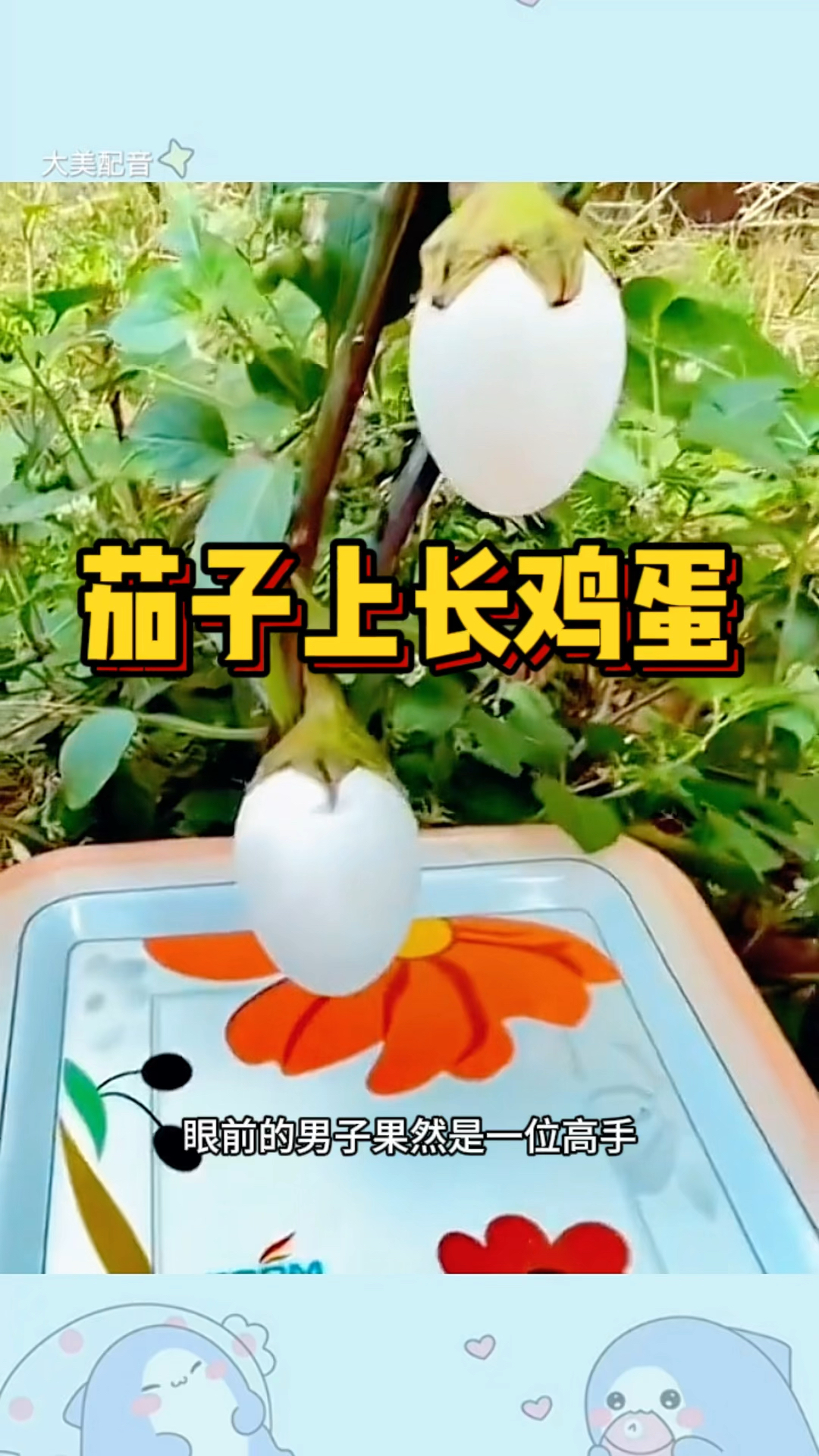 茄子上长鸡蛋,真是种什么得什么