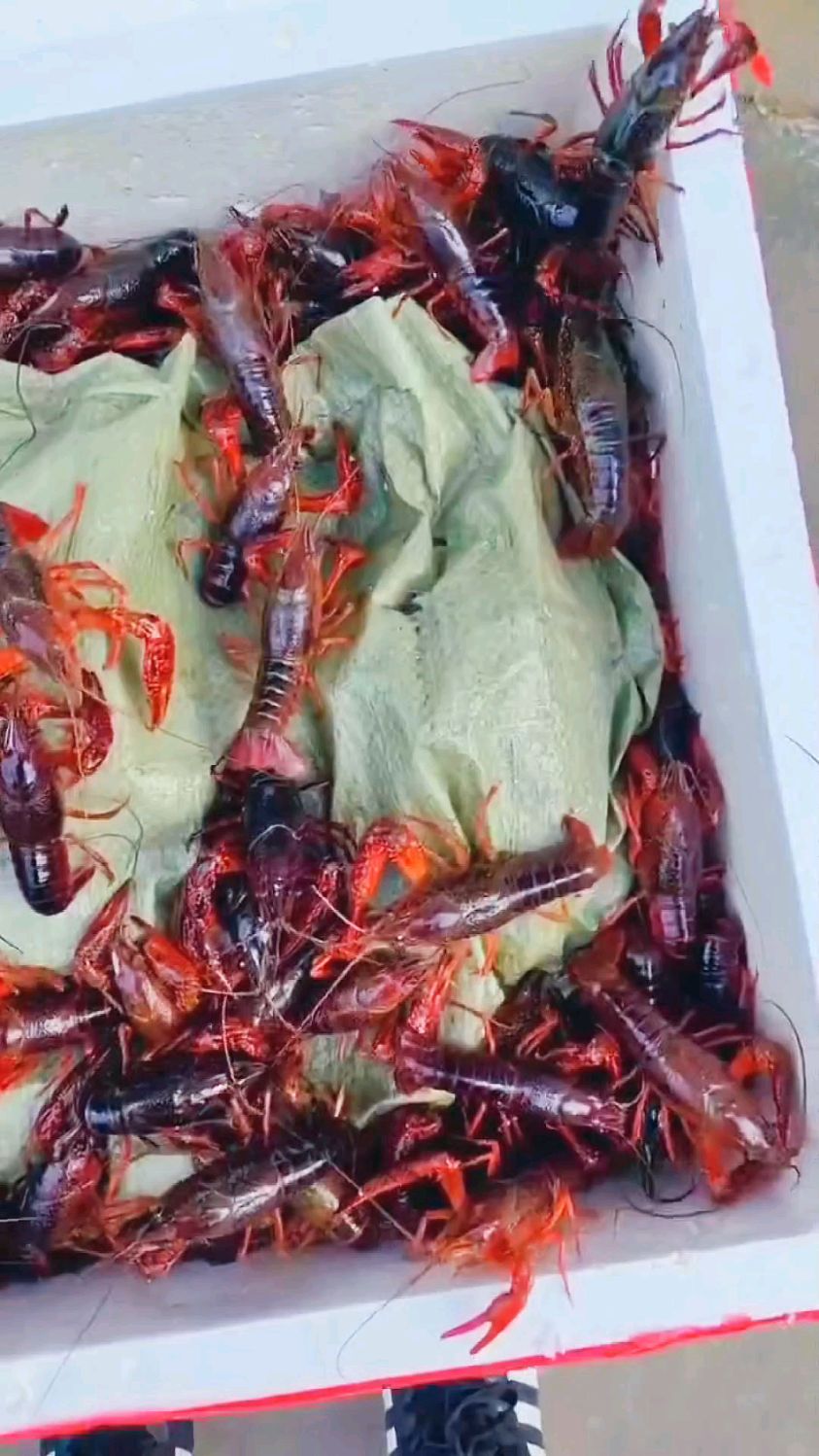麻辣小龙虾蒜泥小龙虾