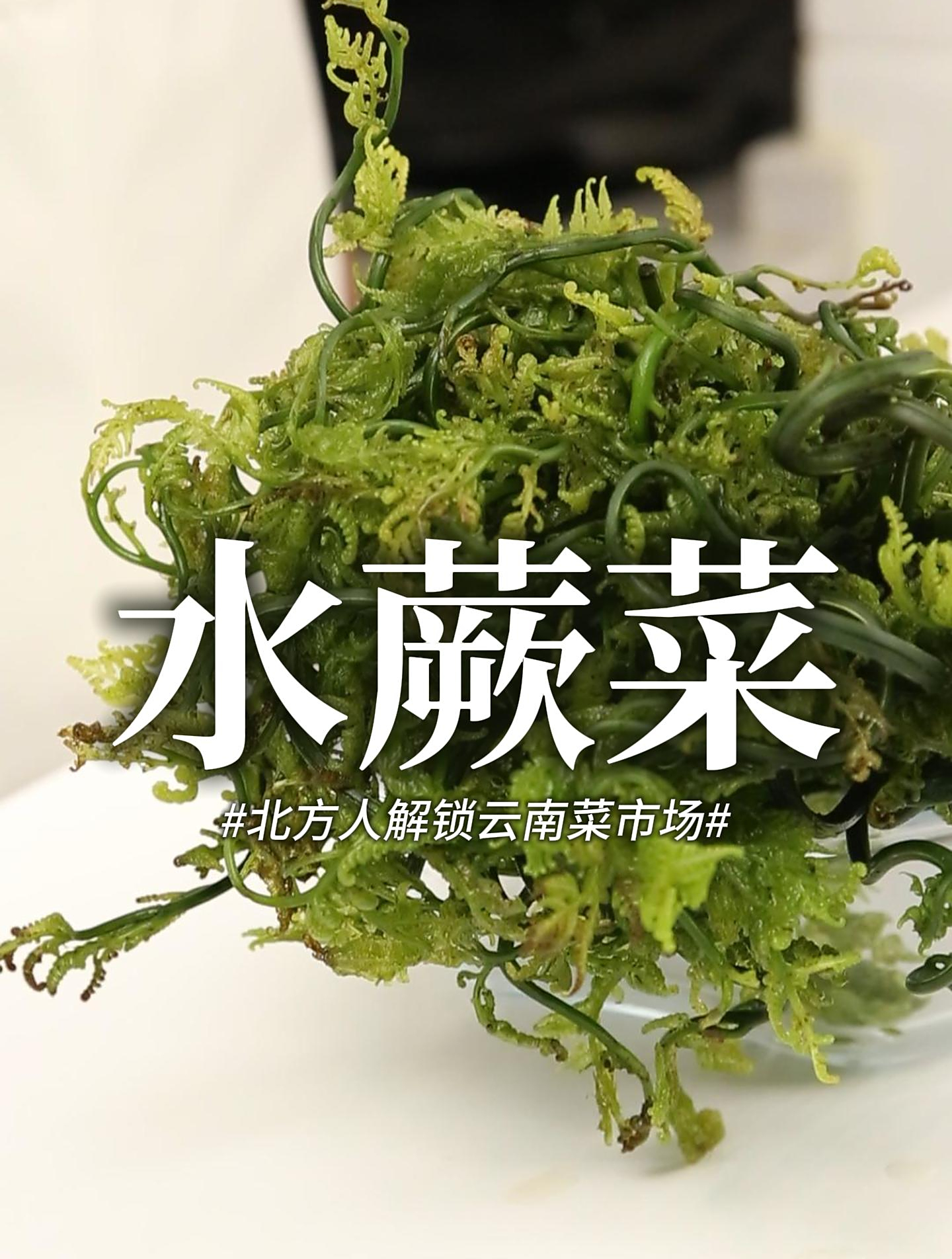 不长毛的“水蕨菜”,清脆可口,配上水豆豉超好吃!