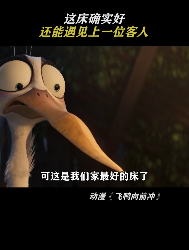 飞鸭向前冲:上一位客人