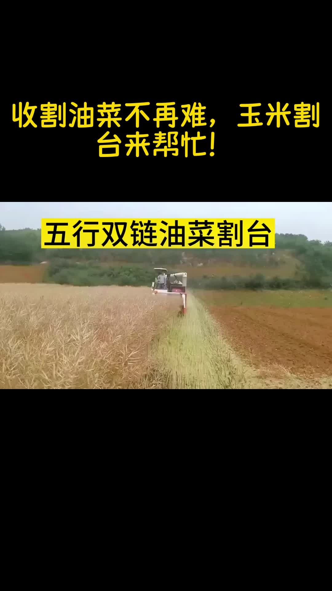 割台神器登场,玉米收割变得如此简单!