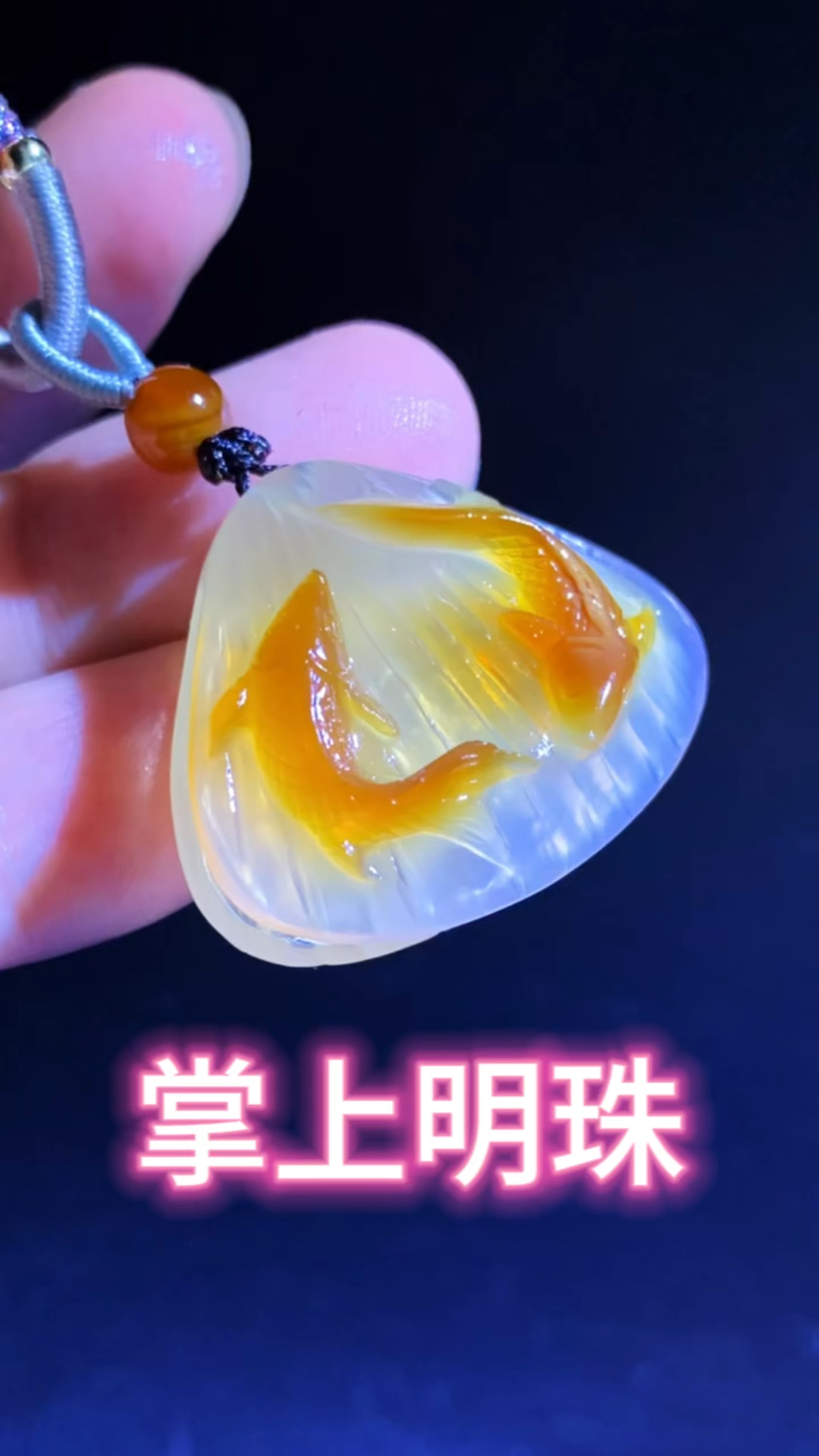 掌上明珠,鱼跃龙门