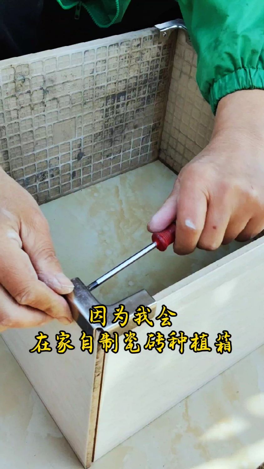 学会用瓷砖固定卡扣,在家就能变废为宝自制网红种植箱!