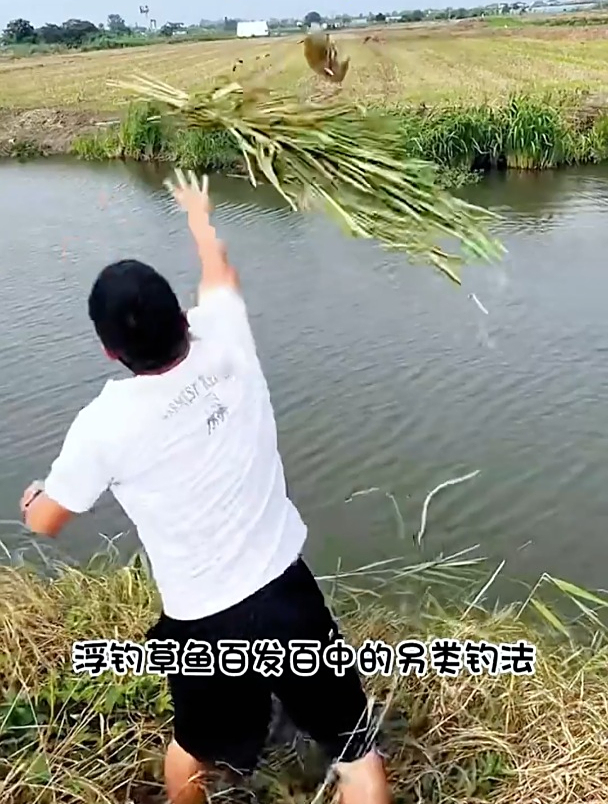 手竿海竿路亚如何钓草鱼?线组怎么选?这方法90%钓友没见过!