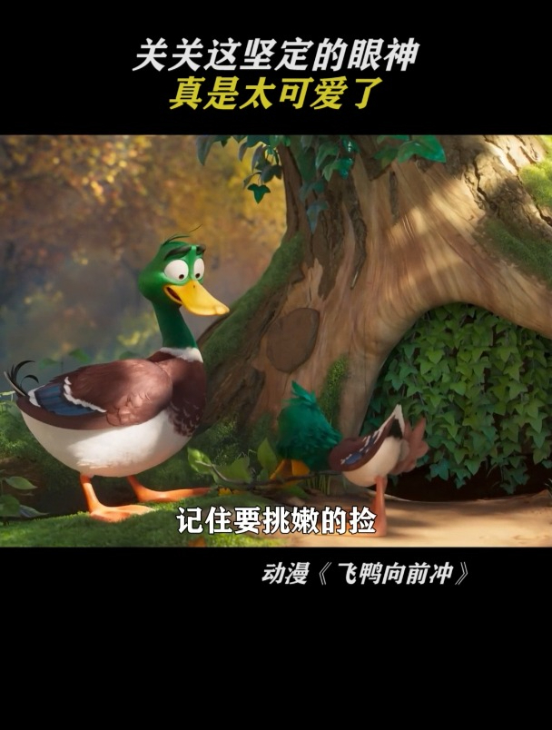 飞鸭向前冲:关关太可爱了