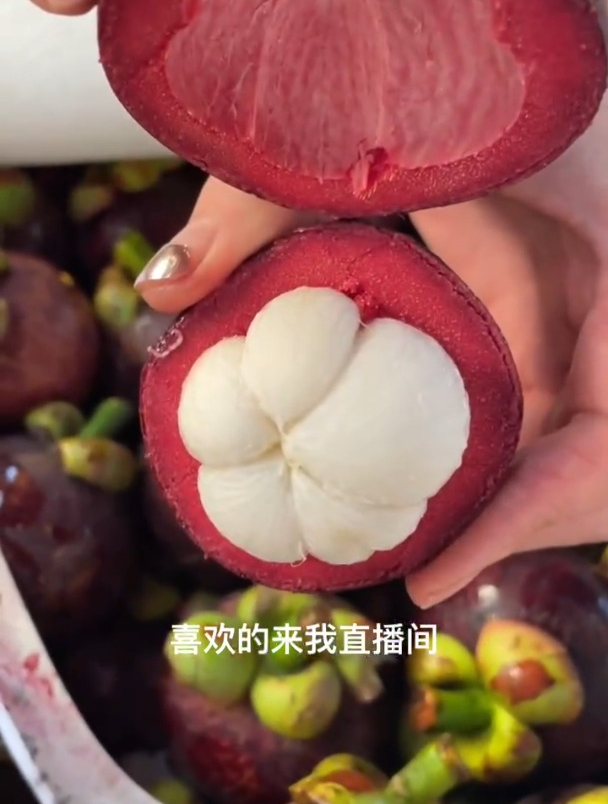 泰国老树麻竹,九分甜一分酸,白白胖胖!