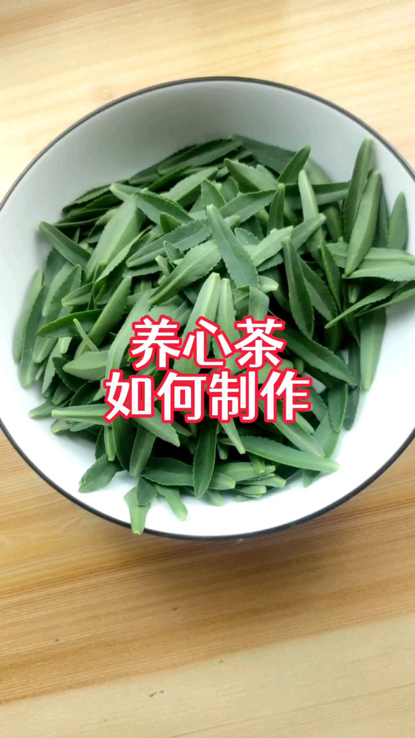 养心菜茶如何制作?教程来了