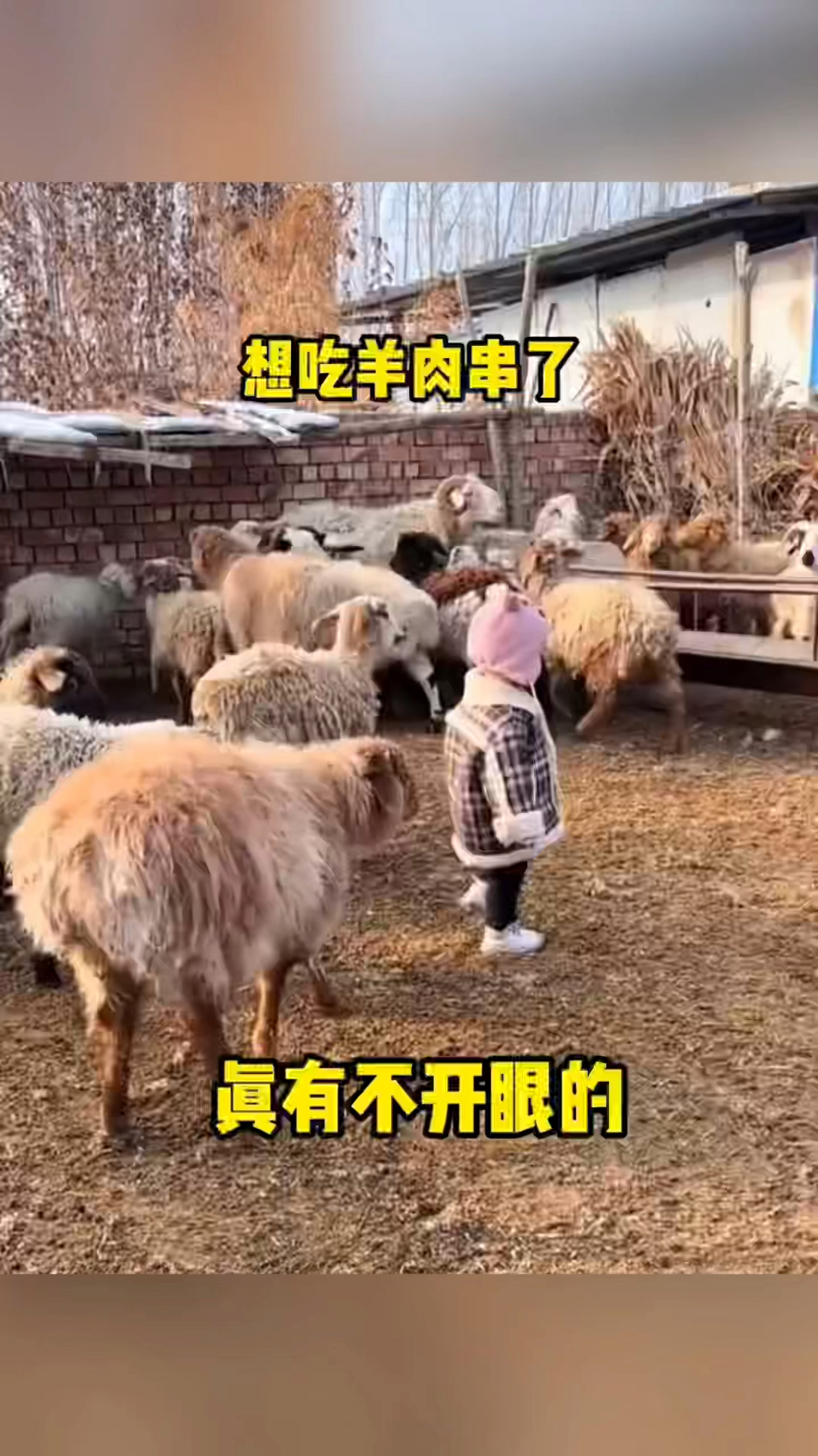 小少爷想吃羊肉串了,这下跑不了了!