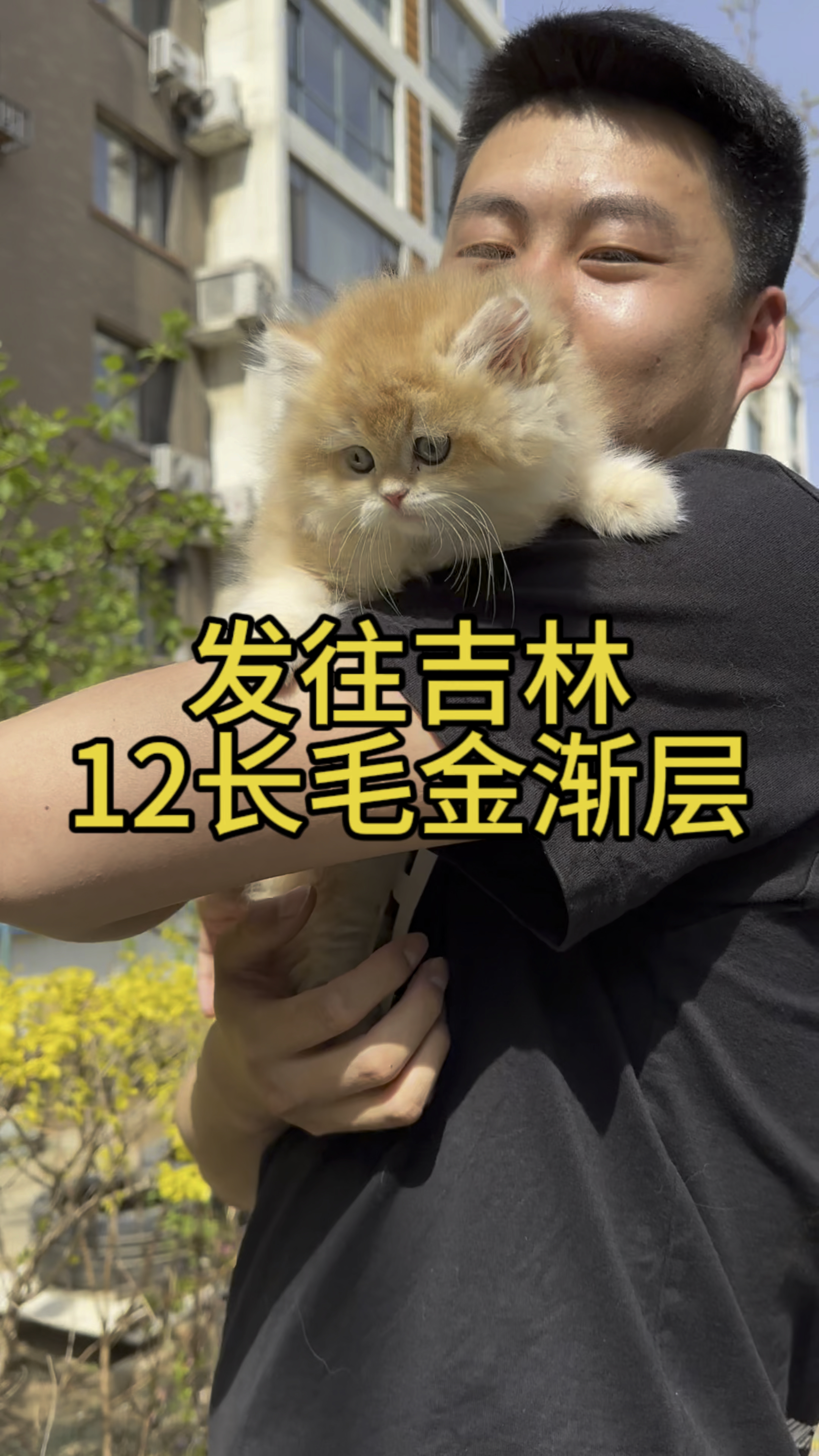 看看这小家伙好不好看,嘎嘎肥