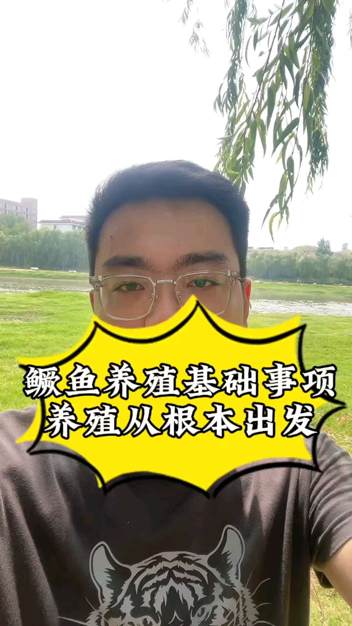 鳜鱼养殖的注意事项